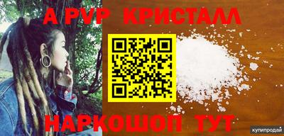 СК Краснодар